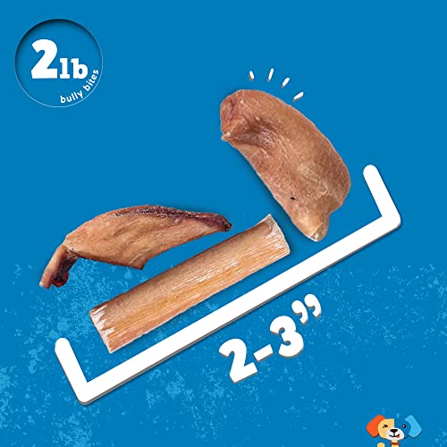 Jack&Pup Premium Dog Chews Bites, Healthy Dog Treats For Medium Dogs - All Natural Dog Treats Small Dogs, Single Ingredient Dog Treat For Puppies - Bully Sticks | Gullet Jerky (Bully Bites 2Lb) #TOP4