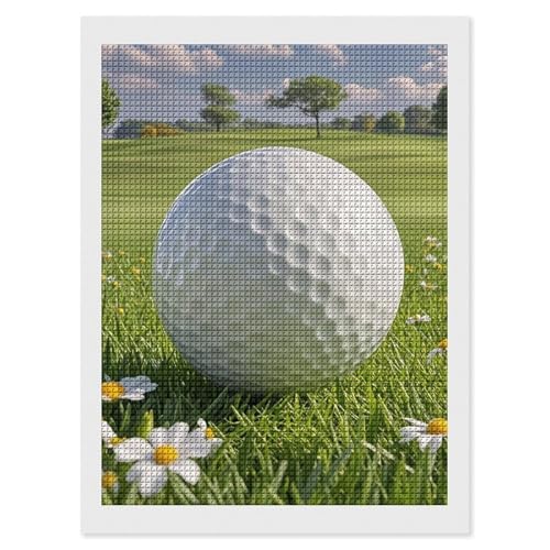Peinture diamant balle de golf FodPand 5D strass carrés kit complet adulte 30x30 cm