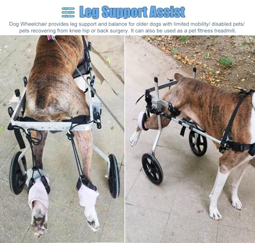Silla de ruedas para perros grandes – Soporte de pierna trasera ajustable para asistencia de movilidad, carrito de 2 ruedas para pastores alemanes y labradores