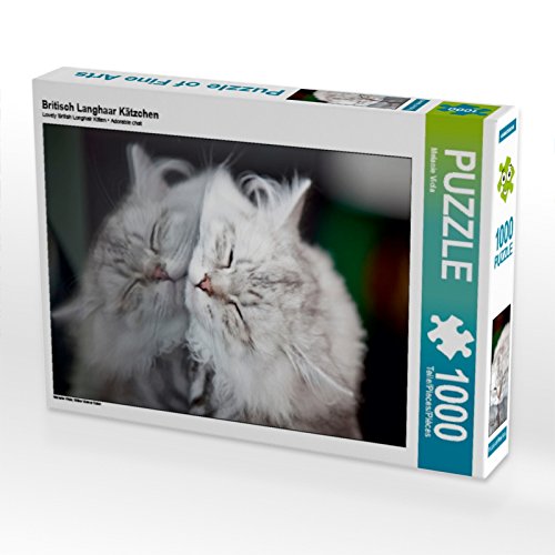Preisvergleich Produktbild Britisch Langhaar Kätzchen 1000 Teile Puzzle hoch