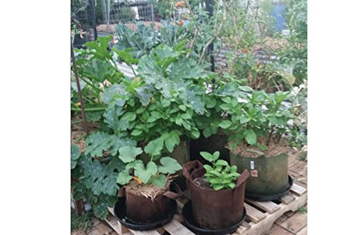 Soft Pots (7 Gallon) Best Fabric Aeration Garden Pots From Maui Mike's. Thicker Fabric And Sewn Handles For Easy Moving. Great For Tomatoes, Veggies And Flowers. Faster Growing Plants And More Fruit. #TOP7