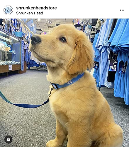Shrunken Head Brand Unc Dog Collar In Carolina Blue With North Carolina Tar Heels Logos Fan Shop Pet Gear Pet Collars, X-Large #TOP1