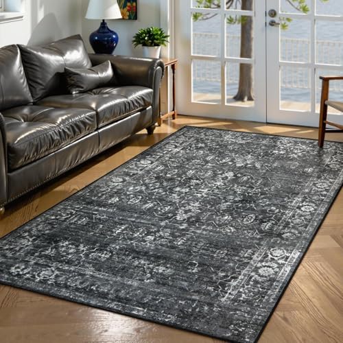 Lahome Margot Washable Black 4x6 Area Rugs for Living Room