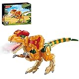 Estructuras ricas: el modelo está diseñado de acuerdo con la forma del dinosaurio. Estructuras ricas, detalles reales y detalles de restauración de altura, las articulaciones del antepié pueden oscilar, la apertura y el cierre de la boca se pueden ajustar a voluntad, la cabeza puede girar, las articulaciones de la cola pueden oscilar.