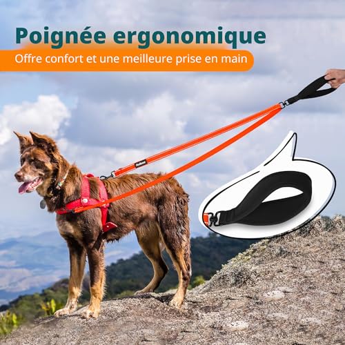 Laisse anti-traction chien pour l'entraînement et la marche en ville - 6
