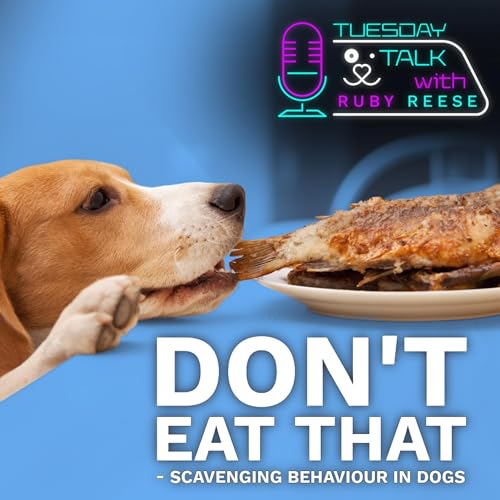 DON&rsquo;T EAT THAT - Scavenging Behaviour in Dogs