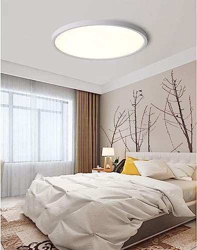 Lámpara de techo LED regulable de 30cm que alivia la fatiga visual 2