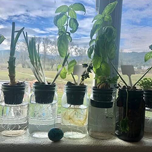 Hazoulen Garden Plastic Net Cups Pots Fits In 3 Inch Holes For Hydroponics, Set Of 15 #TOP4