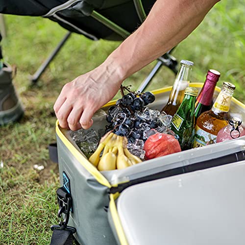 Deroos Cooler Bag Deep Freeze Zipper Hardbody Cooler Insulated Lunch Box Leakproof With 48-72-Hour Ice Retention For Camping, Picnic, Bbq, Grocery Shopping, Camping And Road Trips (18-Can, 10L, Grey) #TOP6
