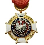 Medalla de la Brigada de Fuego: Medalla militar vintage, 100% auténtica; Se puede usar como broche de decoración de disfraces, este es un gran regalo militar, adecuado para personas interesadas en el ejército o la réplica del coleccionista.