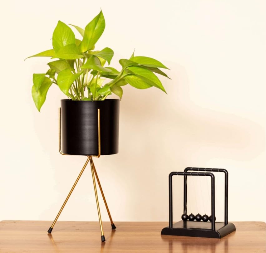 Think Maker Modern Metal Floor Flower Stands Planter for Living Room Bedroom Display Plant Stand Tall Indoor Plant Stand with Planter Pot 1PCS (Black) (B0CWRYKMJF) Amazon Price History, Amazon Price Tracker