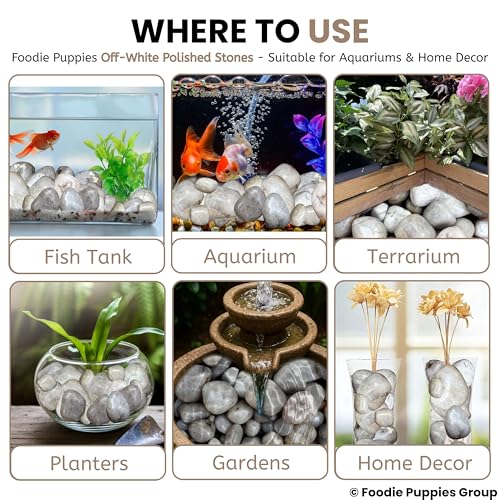 Image of Foodie Puppies 1Kg Off-White Polished Decorative Stones - (2.5cm - 4cm) Dull Finish Pebbles for Aquarium, Fish Bowl, Turtle Tank, Terrarium, Succulents, Garden Pot, Bamboo Plant & Home Decor Stones