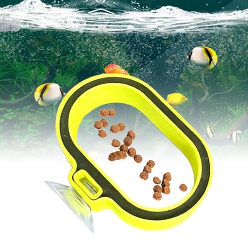 Fish Tank Feeder, Suction Cup Food Dispenser, 2.75x1.18x0.39IN PP Container Attachment with Long Oval Design, Aquarium Feeding Gear, Fish Food Dispenser with Durable Build, Feeder for Freshwater - Image 2