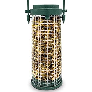 Eco Friendly Bird Feeder Pre-Filled with Mealworms Included – Green Recycled Plastic Hanging Feeders for Wild Garden…