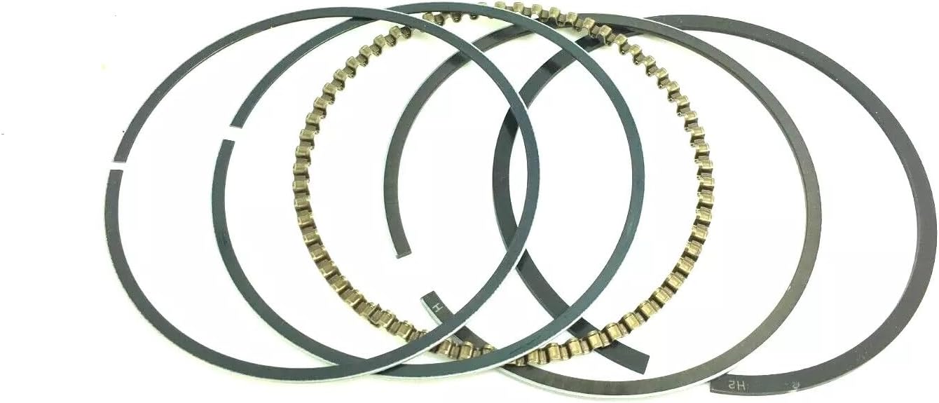 Motorcycle & Powersports LT-F250F for QUADRUNNER/for Ozark Piston Ring Kit .040 67mm for Suzuki LTF 250 87-09