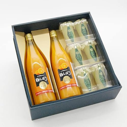 É NE [[ GXg 6  O݂W[X ɂڂ 2{ Zbg  ̓   c j a   u  yY XC[c 퉷ۑ