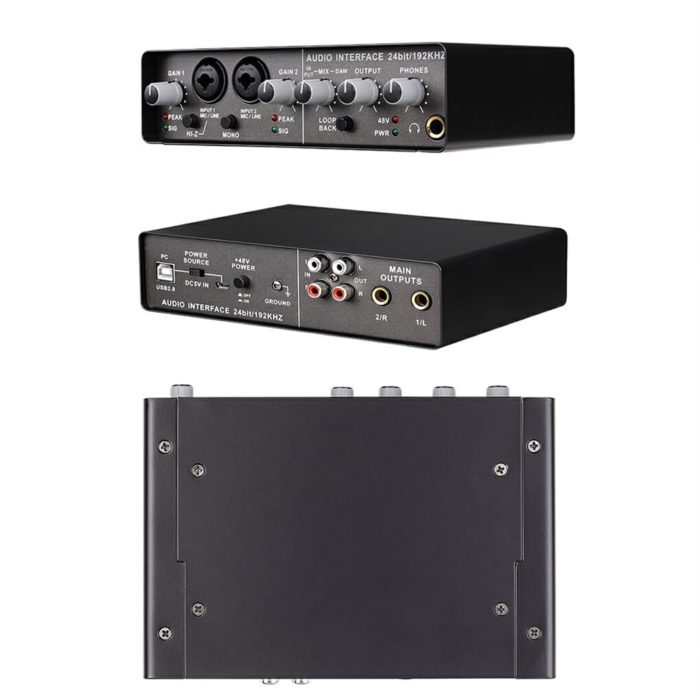 Scheda Audio con Alimentazione Phan-Tom 48V Esperienza Audio con Alimentazione Scheda Audio Esterna USB 2.0 con connessione USB-C Metallo