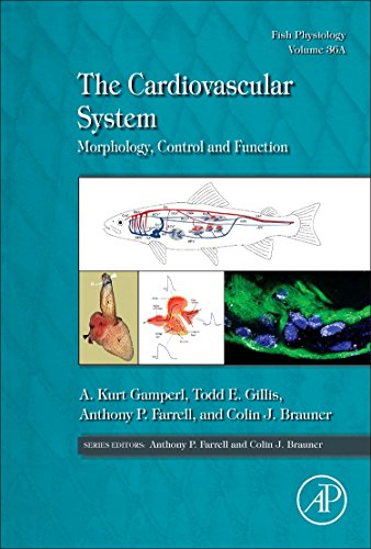 The Cardiovascular System: Morphology, Control and Function (Volume 36A) (Fish Physiology, Volume 36A) view 2