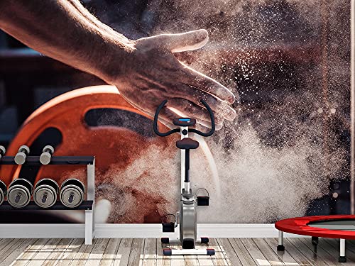 Fotomural Vinilo Pared Deportivo Barato Hall Gym | Fotomurales pared | Fotomural Decorativo | Mural | Vinilo Decorativo | Varias Medidas 100 x 70 cm | Decoración Gimnasios | Deportes varios