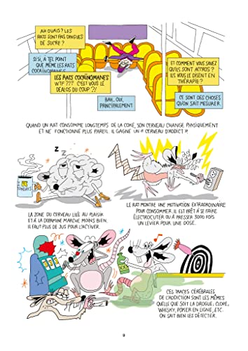 Junk food – vue 6