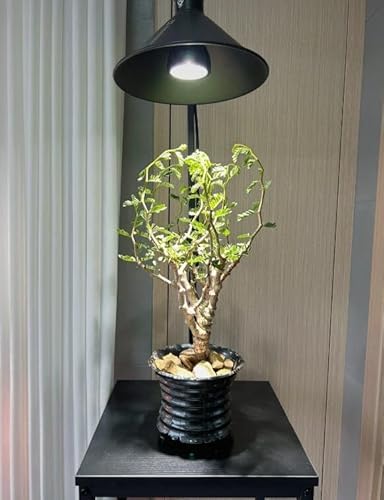 FSLIVING 植物育成スタンド A3-ZWD-SSB-DZ22X6-DP49 の商品画像 5