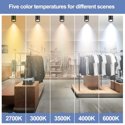 Image of Black Led Ceiling Spot Lights 5CCT Selectable Dimmable led Spot Lights Indoor 12W, CRI90 Adjustable Flush Mount Fixture 24 Accent Lighting 2 Packs