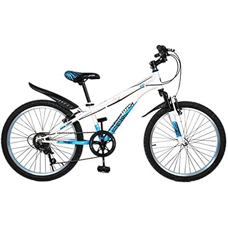 Amazon Cyfie ホーク 子供用自転車 22インチ 6段変速 スタンド型 泥よけ付 簡単に安装 男の子 女の子 小学生 ジュニアマウンテンバイク スポーティサドル ラシュット Lesute 子ども用自転車
