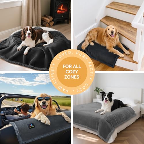 Image of Luciphia Waterproof Bed Blanket Washable,Soft Sherpa Fleece Puppy Reversible Throw Blankets for Small Medium Dog Cat,Furniture Cover Protector Couch Bed from Liquid Pee and Pet Fur, Black,57 inch x 40 inch