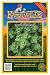 Everwilde Farms - 2000 Greek Oregano Herb Seeds - Gold Vault Jumbo Seed Packet