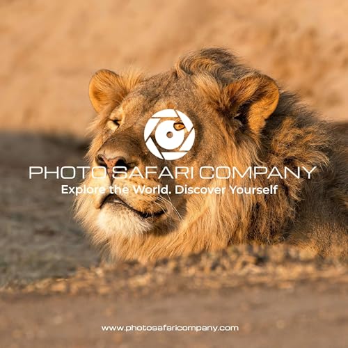 『The Photo Safari Show』のカバーアート