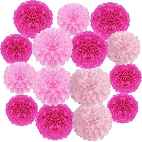Tissue Paper Pom Poms 15Pcs Colorful Paper Flowers Pink Rose Red Paper Flower Ball for Wall Valentines Day Birthday Bridal Showers Wedding Baby Shower Tea Parties Graduations Party Decorations