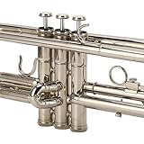 [DISEÑO IMPRESIONANTE] El excelente proceso de pintura plateada crea un acabado de color hermoso y limpio que es visualmente atractivo e impecable.