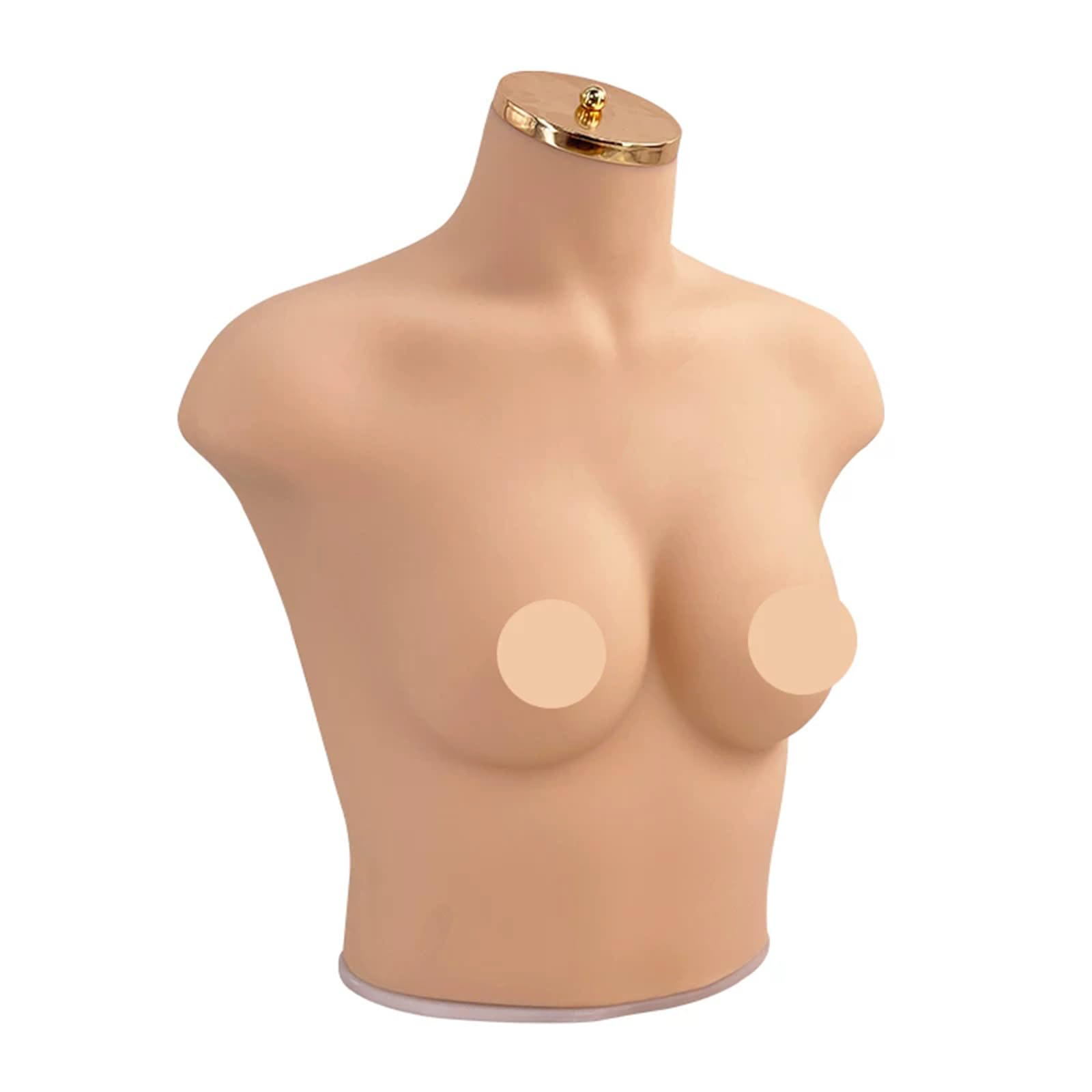 Female Torso Mannequin Bust, Realistic Skin Tone Mannequin Body for Lingerie, Bra, Swimwear, Top Display, Retail Shop