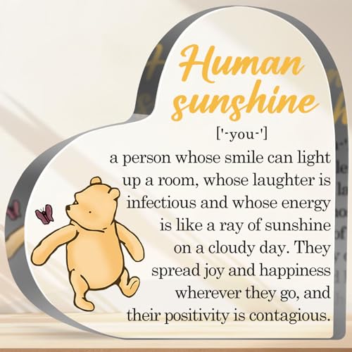 Winnie Inspirational Motivational Gifts Human Sunshine Definition Decor Positive Winnie Decorative Sign Acrylic Sign for Friend Coworker Office School Desk Shelf