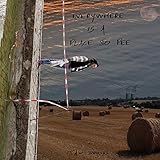 Everywhere Is a Place to Pee