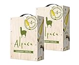 Alpaca アルパカ サンタ�