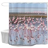 Odot Cortinas de Ducha Tela Impermeable, Patrón Flamenco Cortinas de Baño...