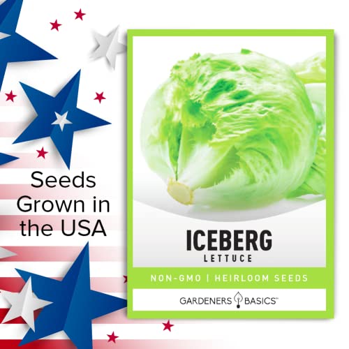 Iceberg Lettuce Seeds For Planting - (Head) Heirloom, Non-Gmo Vegetable Variety- 2 Grams Seeds Great For Spring, Summer, Fall, Winter Garden And Hydroponics By Gardeners Basics #TOP5