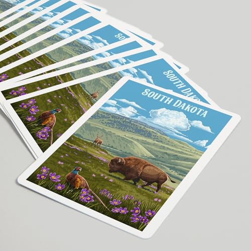 Baraja Póker South Dakota, 52 cartas tamaño póker miniatura 5