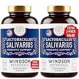 WINDSOR BOTANICALS Lactobacillus Salivarius Probiotic Capsules - L Salivarius Probiotic Oral Dental Probiotics for Bad Breath, Teeth and Gums Health and Immune Support - 24bn CFU, 2-Pack 120 Caps