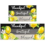 Lemon Kitchen Rugs and Mats Set of 2 Piece Kitchen Decor Decoration Farmhouse Style Non Skid Slip and Washable Anti Fatigue Runner Rugs for Floor Cushioned Rugs for Standing 17x47 17x30