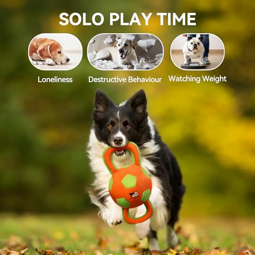 ALL FOR PAWS Handle Ball - Haltbares Hundespielzeug mit Quietscher, Hartes Hundespielzeug für aggressiv beißende Hunde, interaktives Spielzeug, Farbauswahl