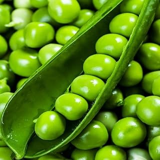 SeedsUA - Seeds Seeds Sweet Sugar Pea Giant Vegetable Heirloom for Planting Non GMO