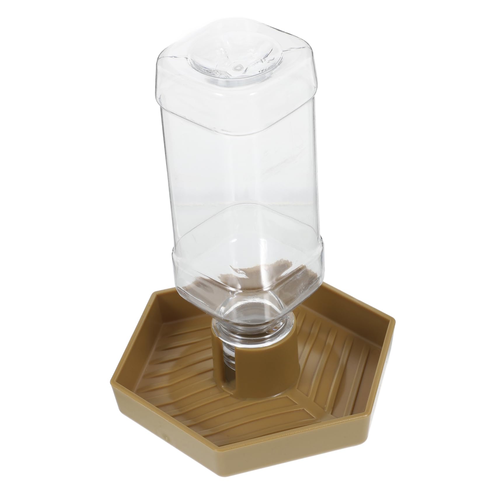 亀水長湯呑み四人前 亀水長湯呑み四人前