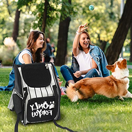 Sac à dos transport pour chien ventilé pour éviter la surchauffe en voyage - 4