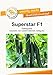 Produktbild Superstar F1 Gurkensamen von Bobby-Seeds Portion