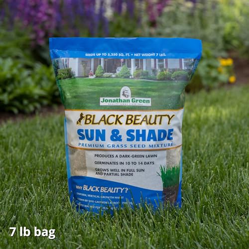 Jonathan Green (12005) Black Beauty Sun & Shade Grass Seed - Cool Season Lawn Seed (7 lb)
