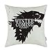 CaliTime Cojines Fundas Casos Game of Thrones Casas Badages Amortiguar Cubiertas Lanzar Almohada Casos Protector Conchas para Sofá Sofá Cuarto Casa Navidad Decoración
