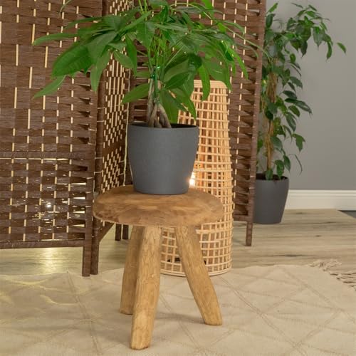 Tabouret Klara en acajou 28cm petit melk appui rond