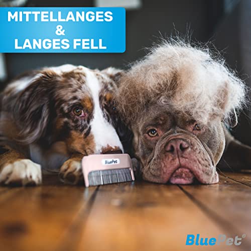 BluePet Zauberkamm Patentiert mit Rotierenden & Nachgebenden Zinken I Entfernt sanft Knoten & Entwirrt das Fell I Hundekamm Katzenkamm für Langhaar Hunde & Katzen